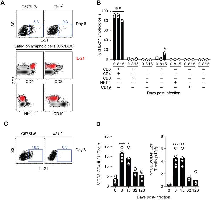 IL-21 is produced by CD4<sup>+</sup> T cells during <i>P</i>. <i>chabaudi</i> infection.