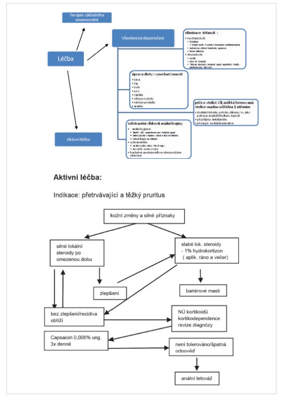 Schéma léčby pruritu anu
Fig. 1: Pruritus ani – the therapeutic scheme