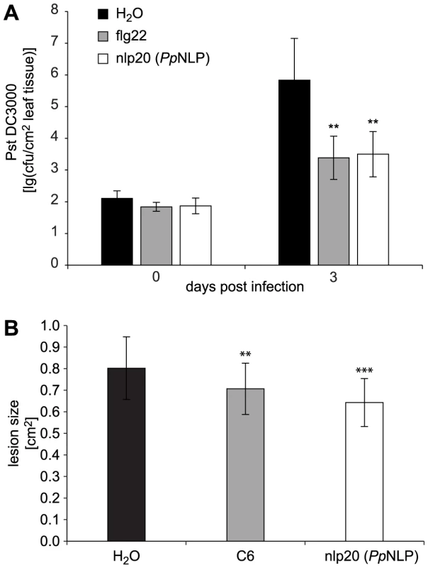 Treatment with nlp20 (<i>Pp</i>NLP) renders <i>Arabidopsis</i> less susceptible to bacterial and fungal infection.