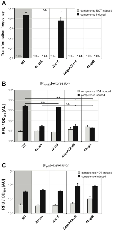 Quorum sensing only regulates a subset of competence genes.