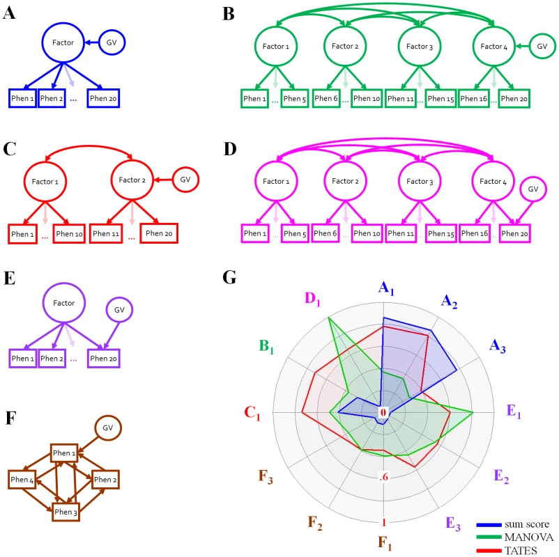 Schematic representation of the simulation settings and results.