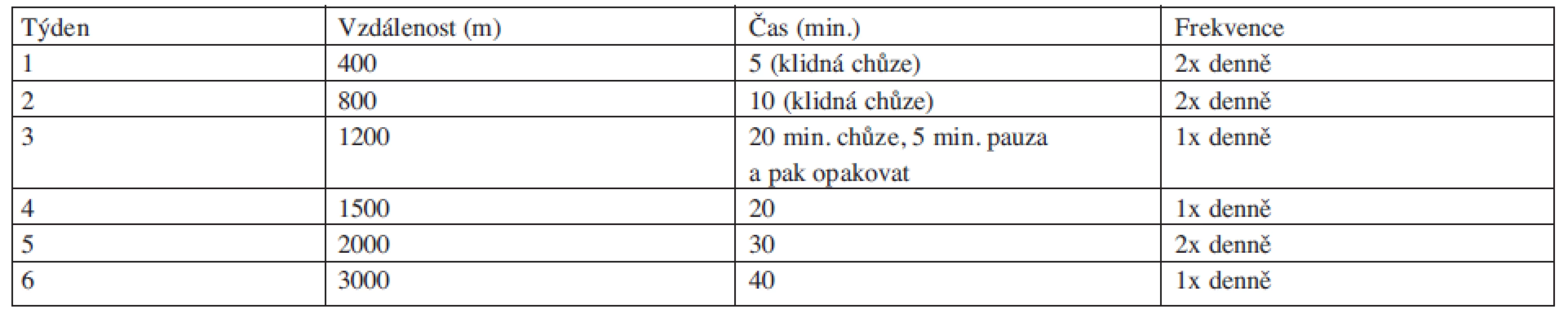 Plán individuálního domácího tréninku (upraveno podle 26).