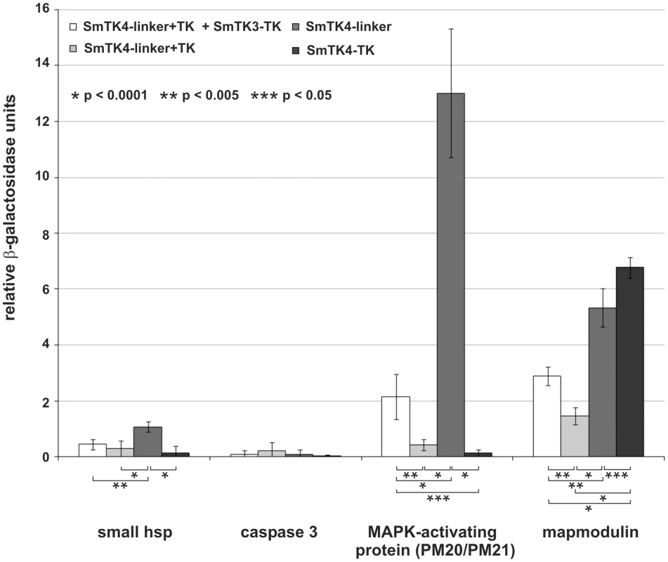 Comparative β-Gal liquid assays to determine the relative binding strengths of SmTK4 downstream interaction partners.