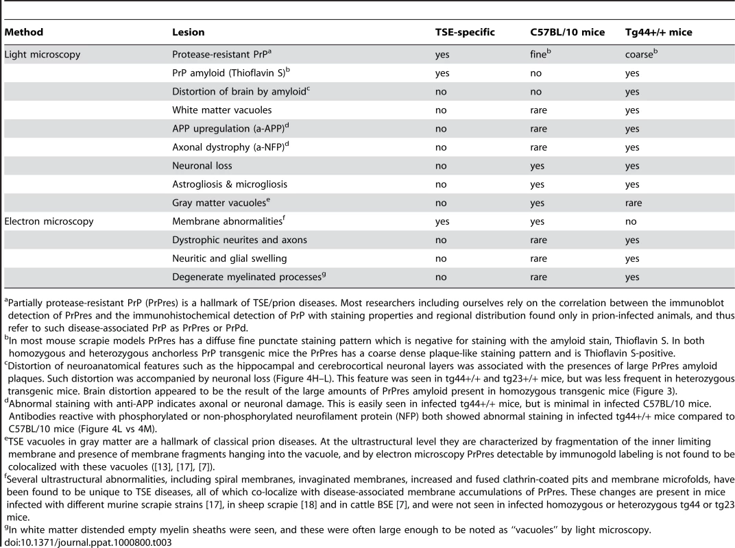 Comparison of histopathological features in scrapie-infected C57BL/10 mice and homozygous anchorless PrP transgenic mice (tg44+/+).