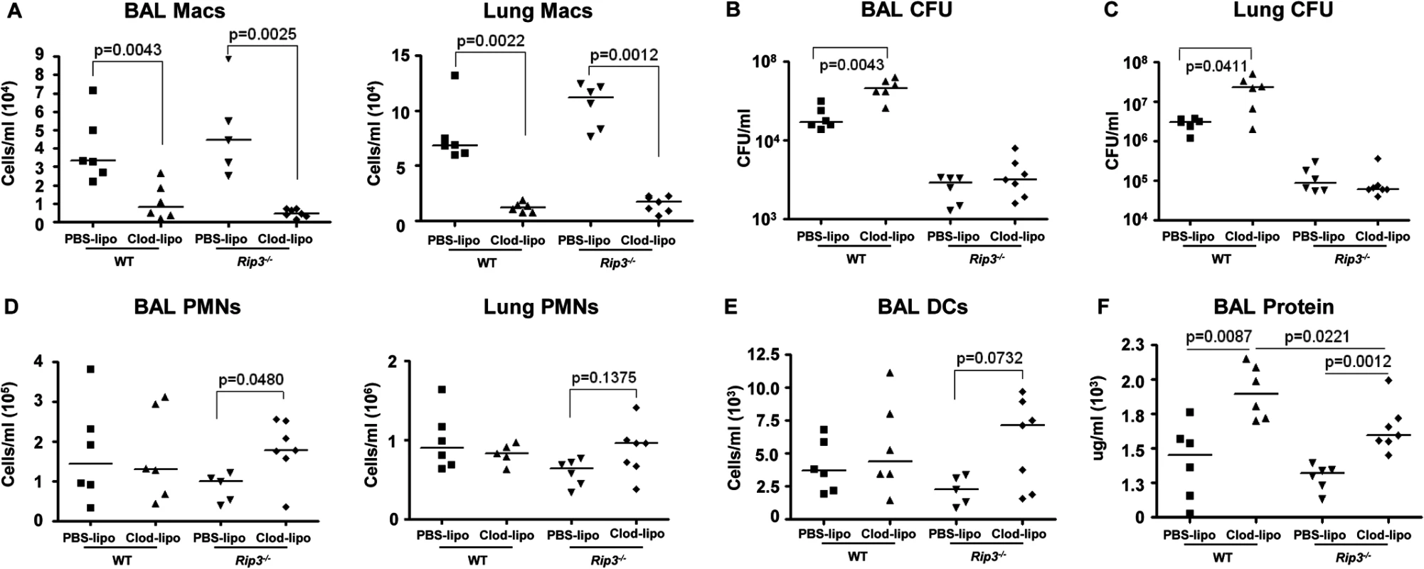 SA-induced necroptosis affects multiple cell types.