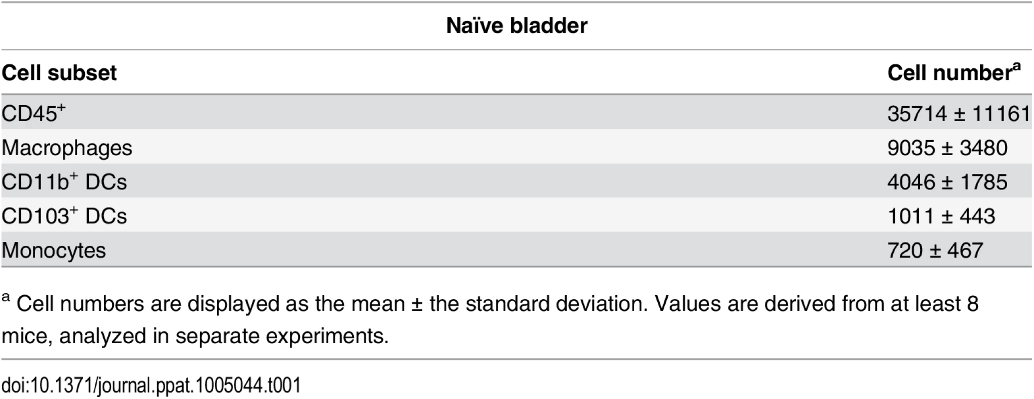 Immune cell populations in naïve bladders.