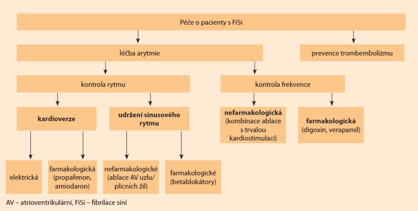 Léčba u pacientů s FiSi. Fig. 3. Atrial fi brillation treatment.