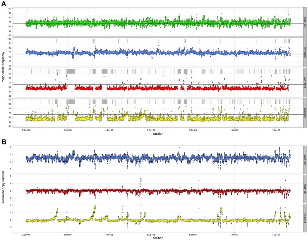 Resequencing analysis of <i>D. bruxellensis</i> isolates.