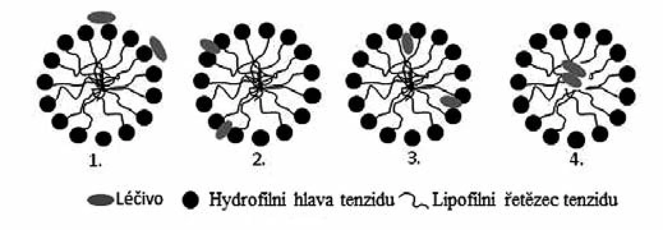 Možnosti inkorporace léčiva do micel tenzidu<sup>14)</sup>