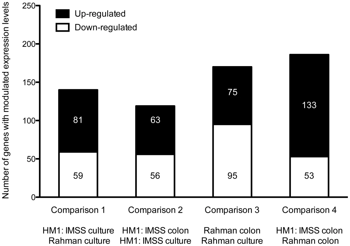 Summary of the microarray data.
