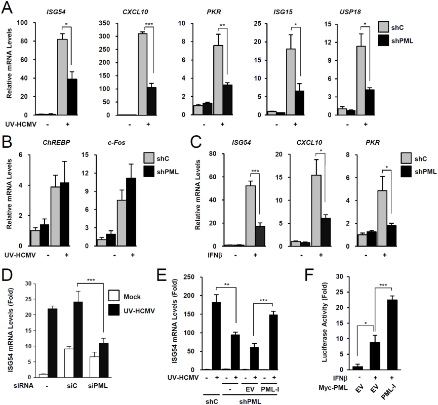 Effects of PML knockdown on ISG induction by IFNβ treatment or UV-HCMV infection.