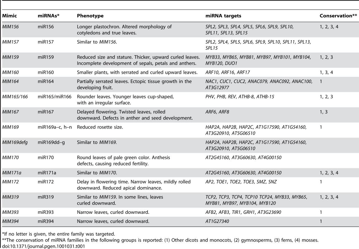 Artificial target mimics causing visible phenotypes.
