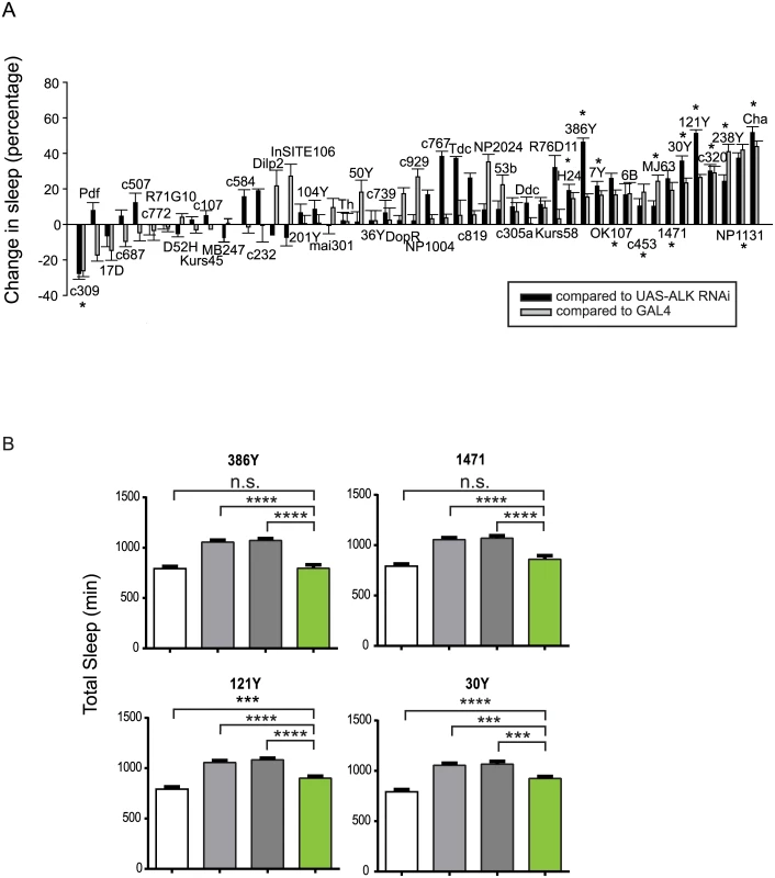 <i>Alk</i> is required in a subset of CNS neurons to regulate sleep.