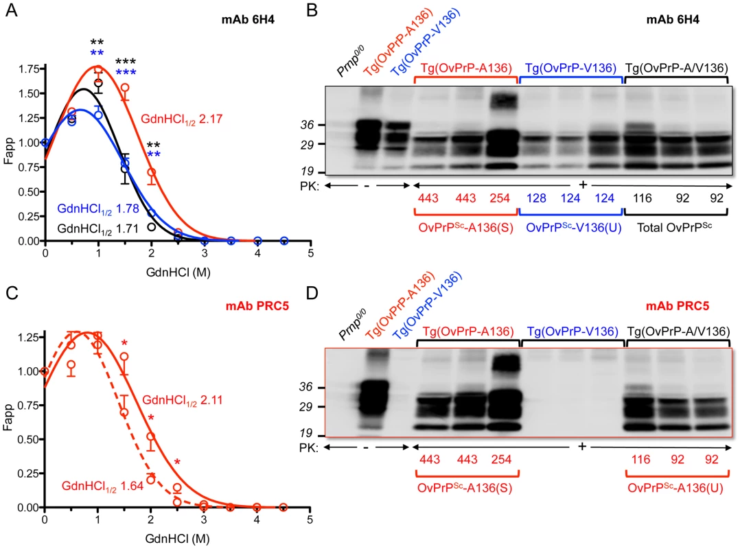 Analyses of PrP<sup>Sc</sup> in the brains of SSBP/1 infected mice.