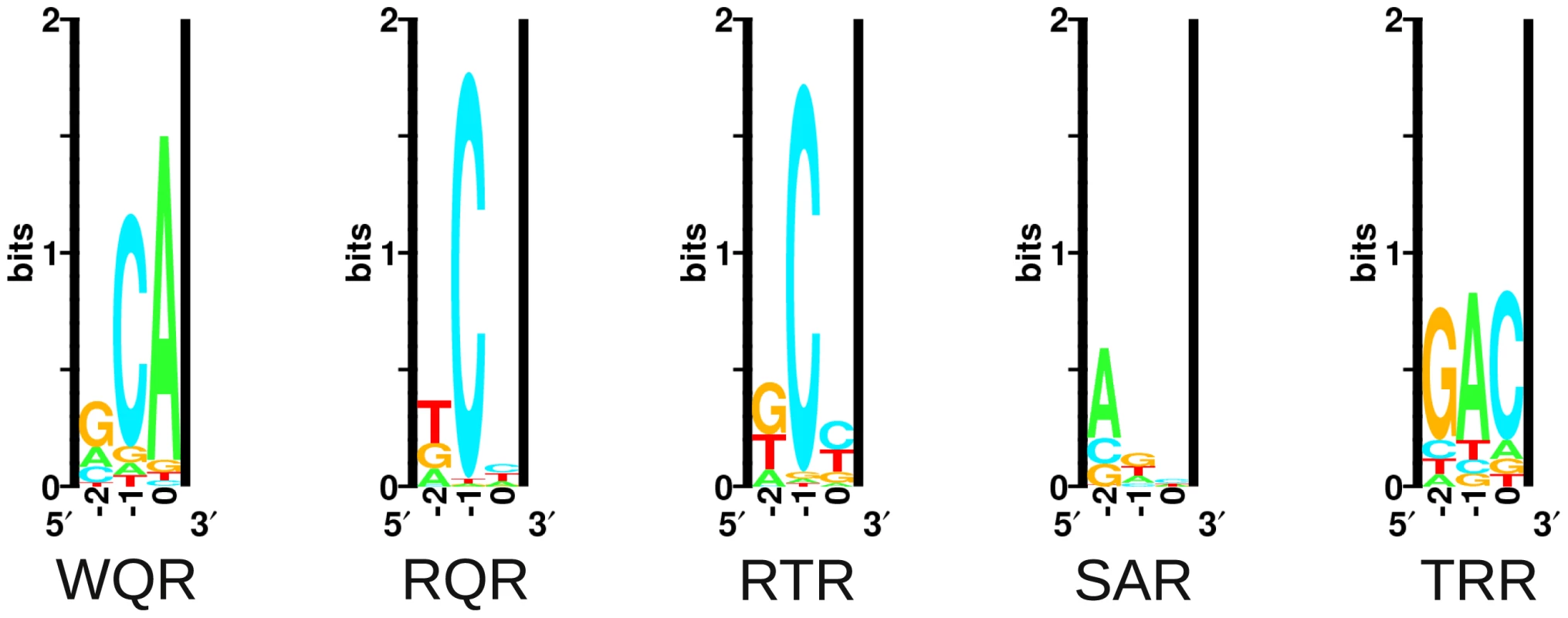 Energy logos for MarA variant binding sites.