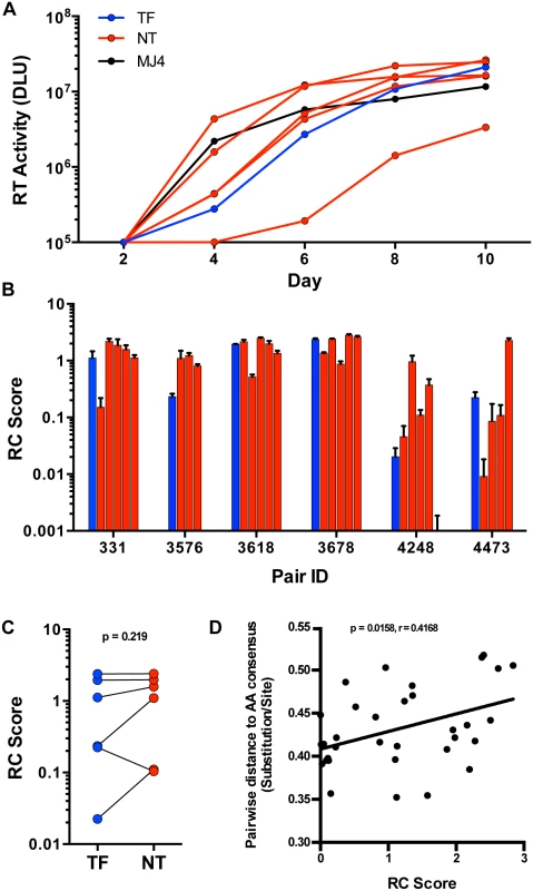 <i>In vitro</i> replication of TF and NT viruses in PBMC.