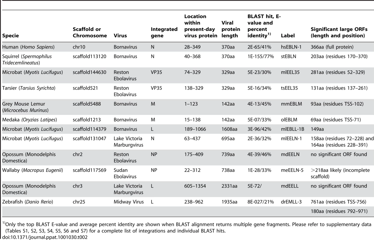 Selected endogenous viral sequences found in vertebrate genomes.