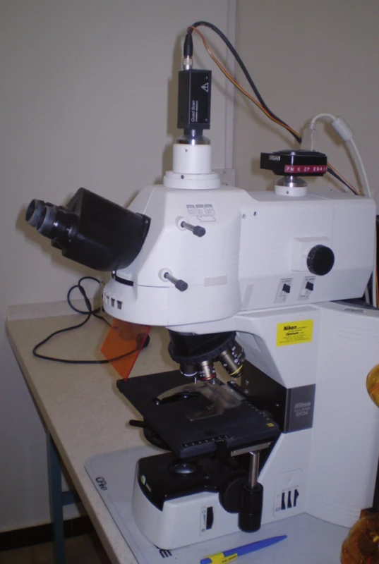 Během 1–3 min od odběru se oba vzorky dostanou v termoboxu do laboratoře patologa, jenž najde 5–7 reprezentativních lokalit v každém vzorku, tyto zaznamená pomocí digitální vysokorychlostní videokamery do paměti PC (hodnocení záznamu je provedeno až následně pečlivým hodnocením snímek po snímku – dle standardu popsaného v článku).