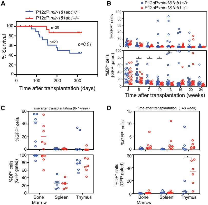 Loss of <i>mir-181ab1</i> inhibits leukemia development induced by the human NOTCH1 mutant P12ΔP.