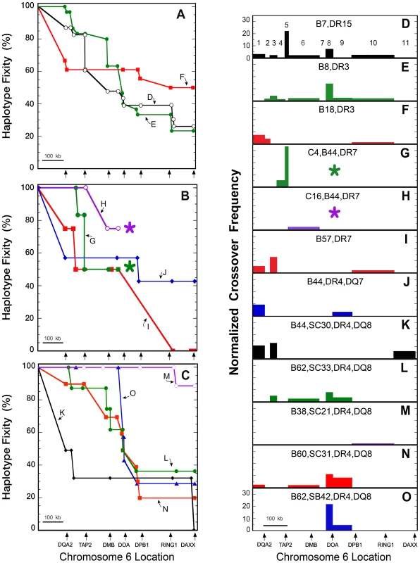 CEH sequence fixity and crossover frequencies from <i>HLA-DQA2</i> to <i>DAXX</i>.