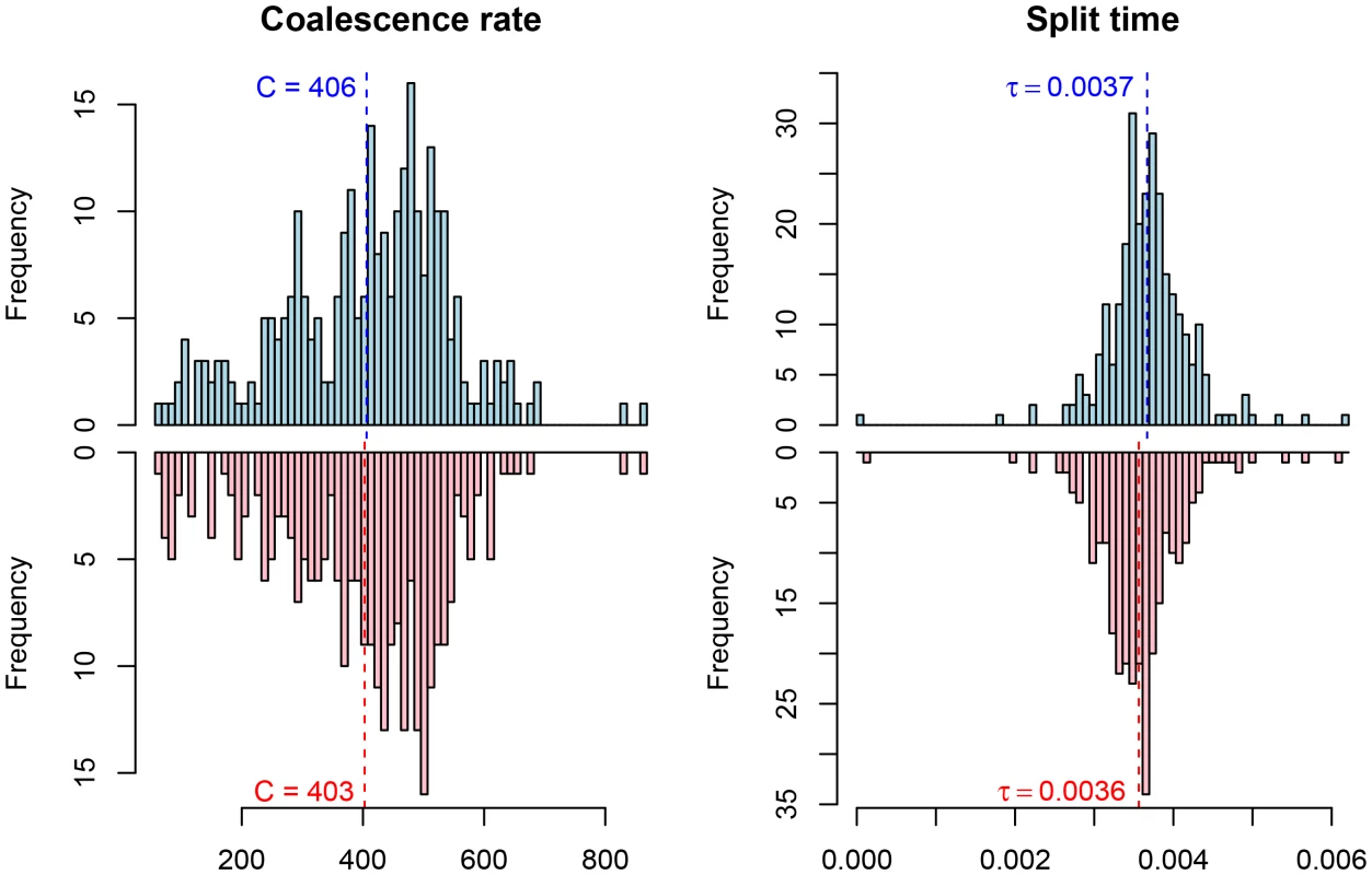 Parameter estimates for the human/chimpanzee split with the isolation model.