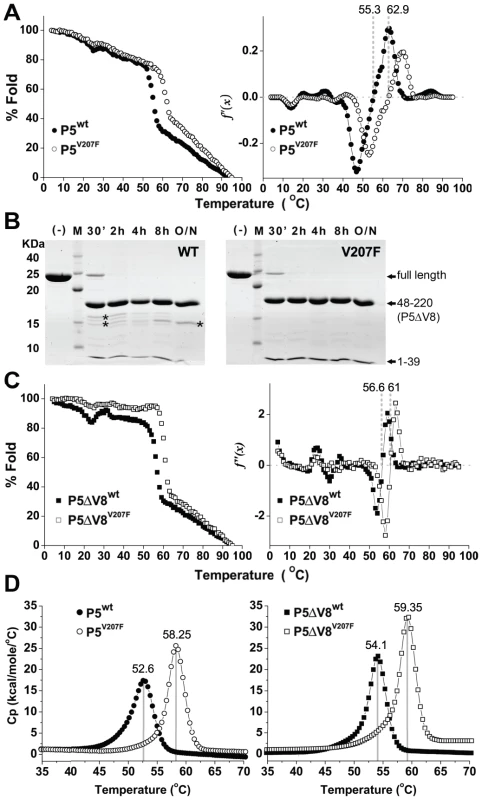 Thermal and proteolytic stabilities of P5<sup>wt</sup> and P5<sup>V207F</sup>.