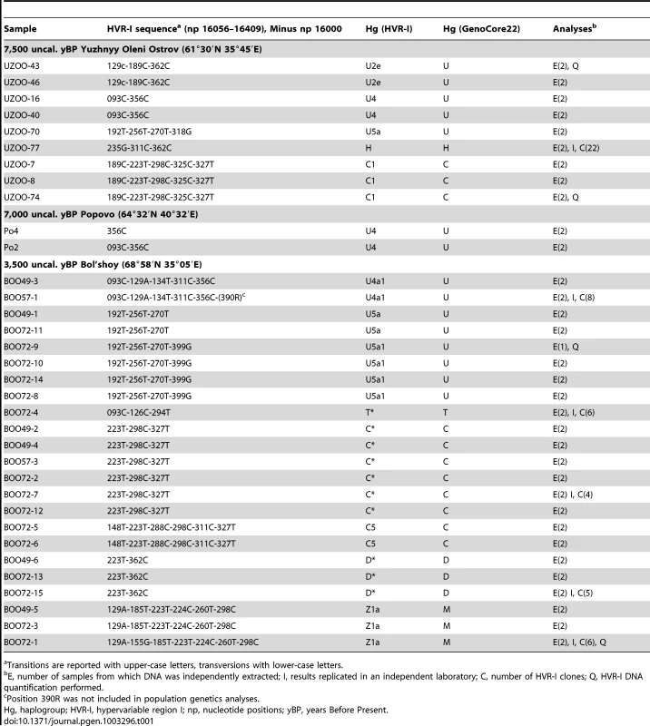 Results for mitochondrial DNA typing.