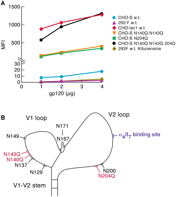 Effect of glycan content on the α<sub>4</sub>β<sub>7</sub>-reactivity.
