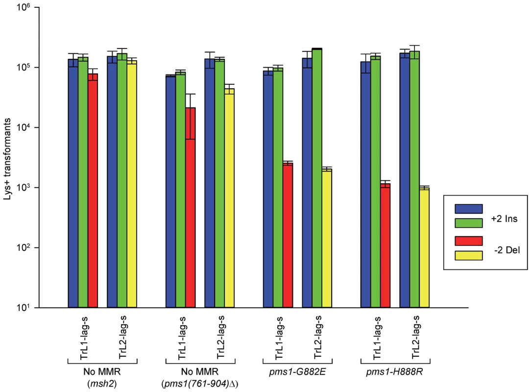 The effect of mutations in <i>PMS1</i> on 2-nt in/del mispairs.