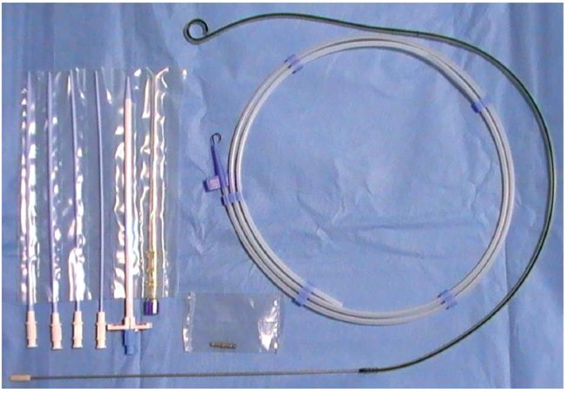 Extraanatomický stent
Fig. 2. Extra-anatomic stent