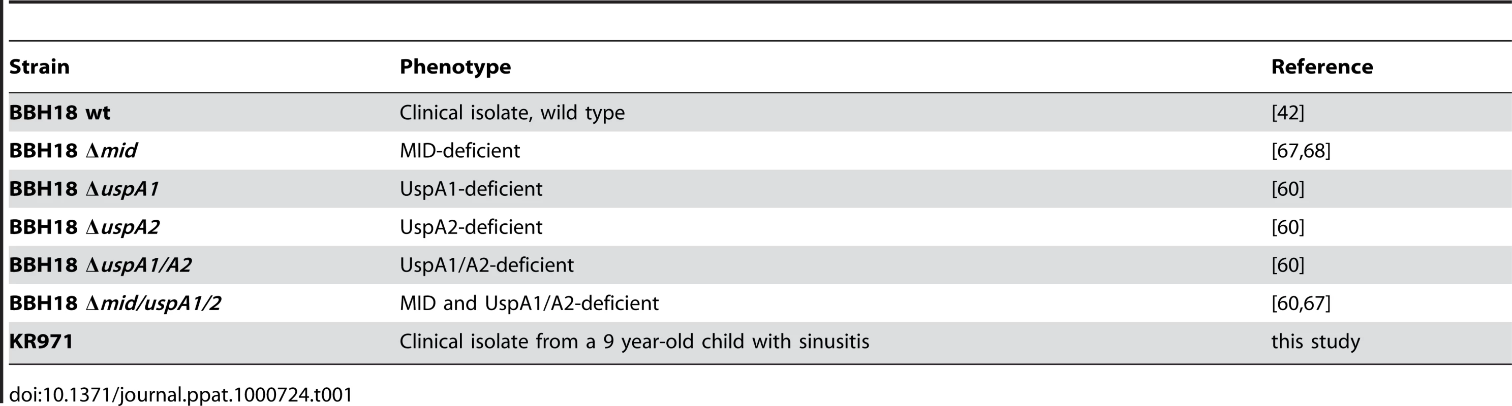 <i>Moraxella catarrhalis</i> strains used in the present study.