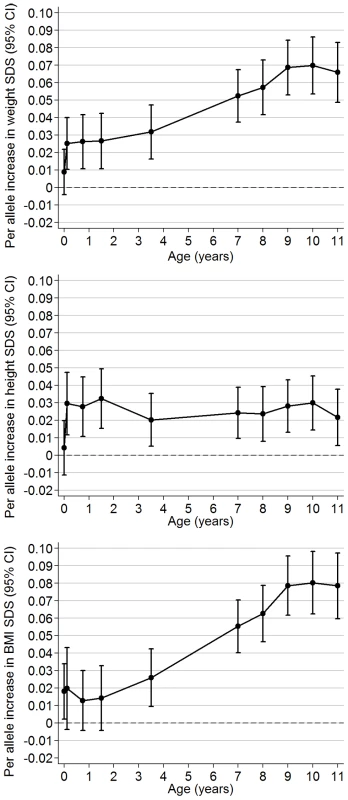 Longitudinal associations between the obesity-risk-allele score and (A) weight SDS, (B) length/height SDS, and (C) BMI SDS.