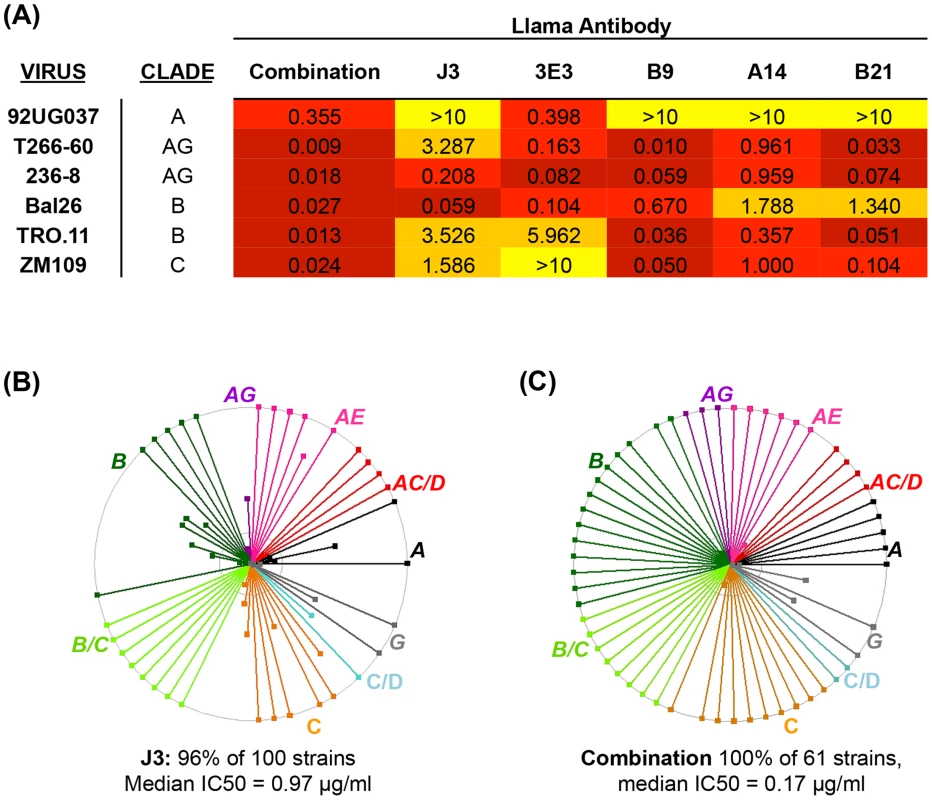 Combined breadth and potency of anti-CD4bs VHH.
