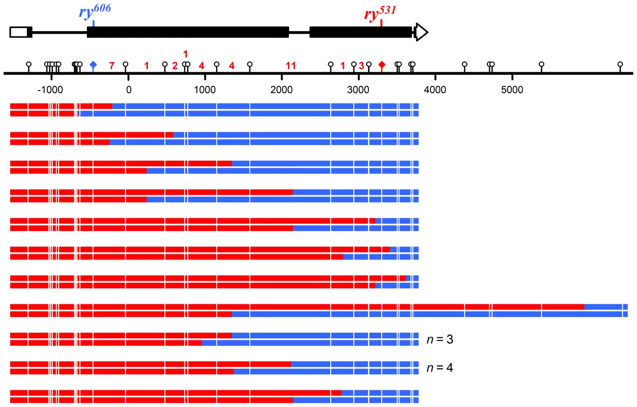 Crossovers from <i>Xpc</i>; <i>Msh6</i> mutants.