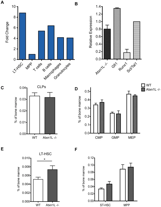 Expression of <i>Atxn1L</i> in the hematopoietic system and frequency of progenitors in knock-out animals.