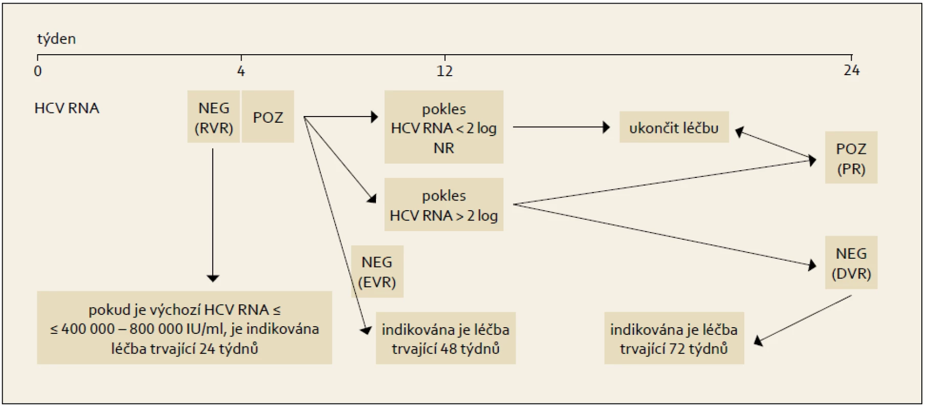 Léčba vedená podle dosažené virologické odpovědi během terapie, genotyp HCV 1.
Fig. 6. Treatment administered based on the achieved virological response during the therapy, HCV 1 genotype.