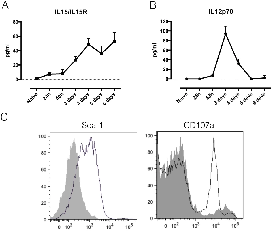 NK and NKT activation.
