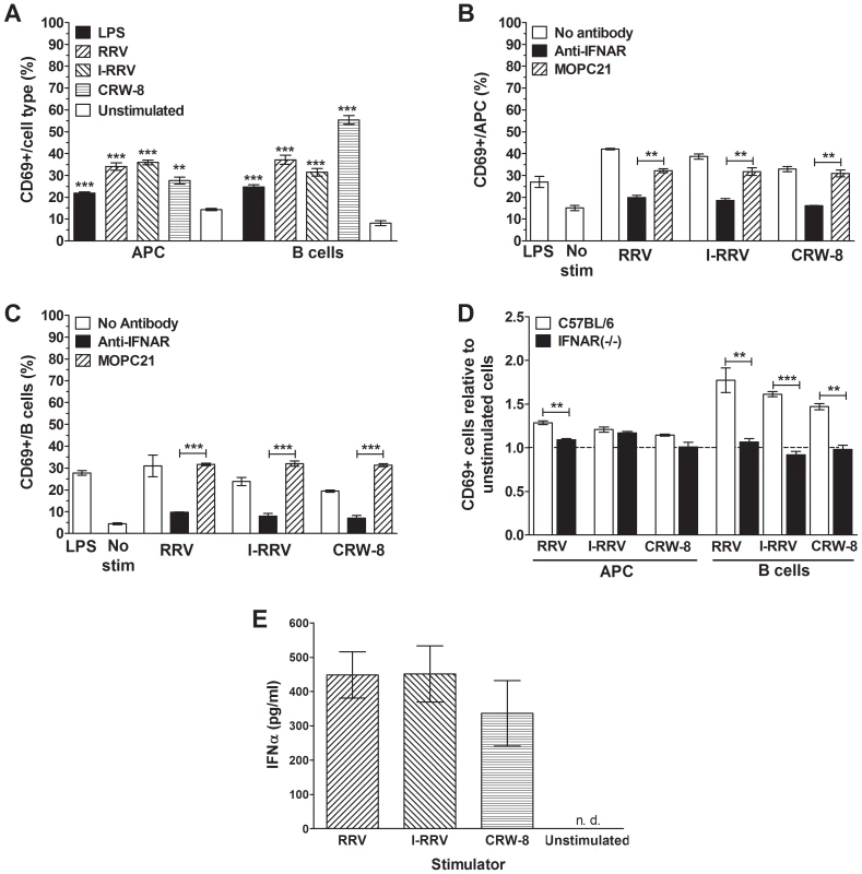 Analysis of the role of a soluble factor signaling through the IFNAR, particularly IFNα, in APC and B cell activation by rotavirus.