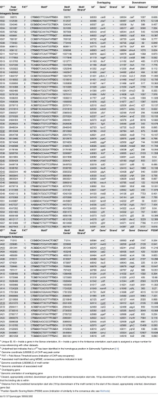 Intragenic σ<sup>54</sup> ChIP-seq peaks.