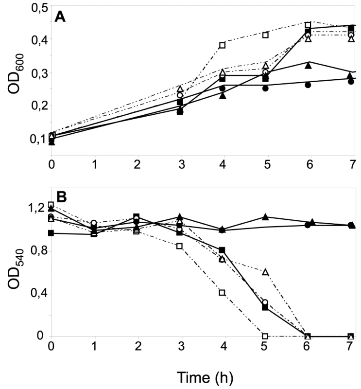Effects of CcoP domain alterations on microaerobic growth and nitrite reduction in <i>N. gonorrhoeae</i>.