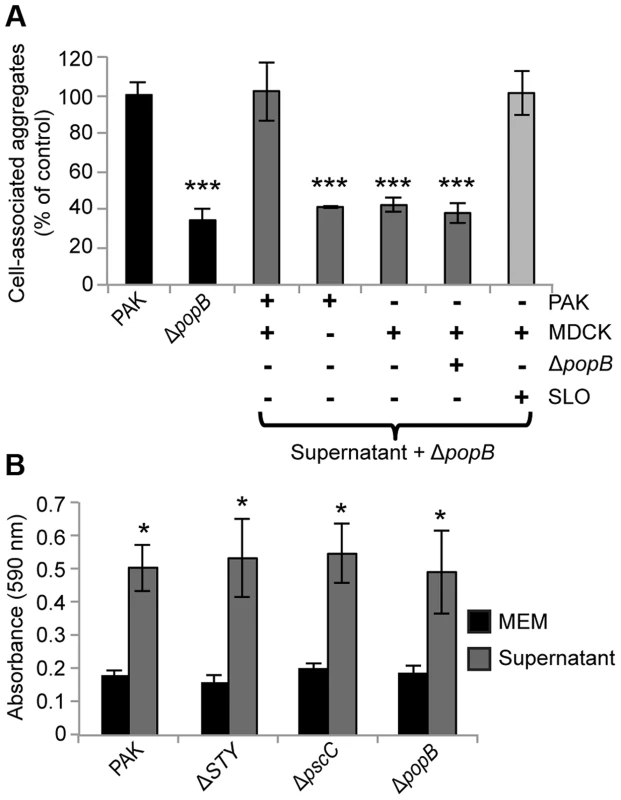 Supernatants from PAK-infected cells restore cell-associated aggregation and enhance abiotic biofilm formation.