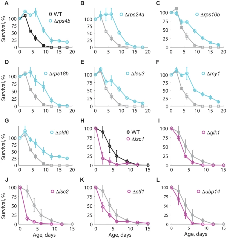 Longevity phenotypes were confirmed using the standard CLS method.