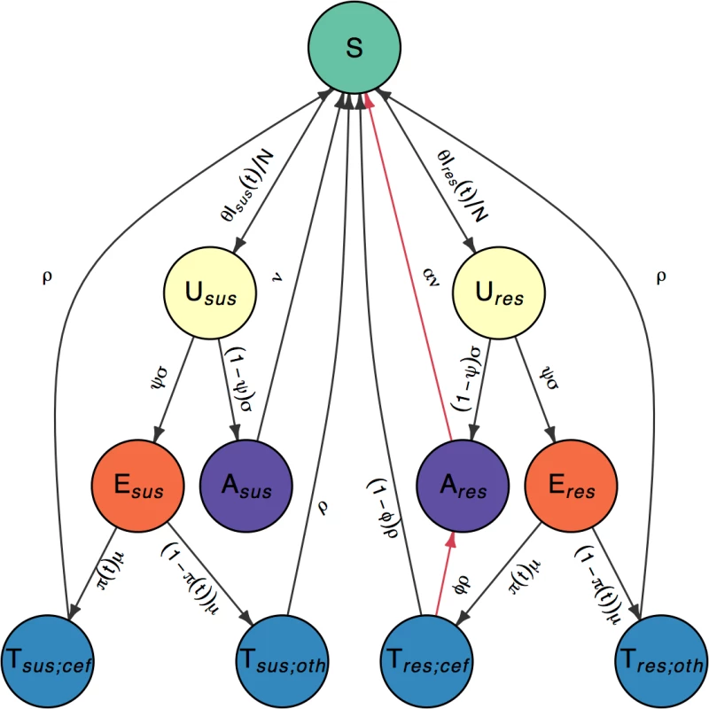 Flow diagram of model compartments with rates of transition between infection states.
