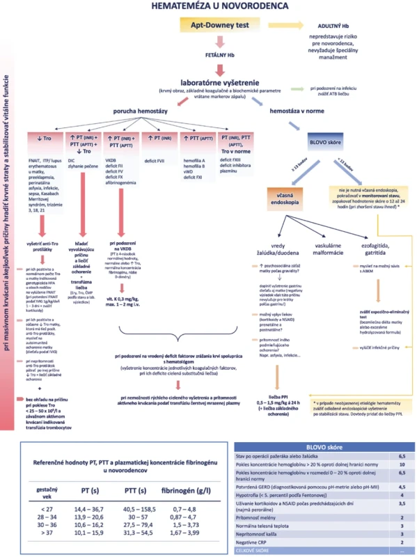 Diagnosticko-terapeutický algoritmus na manažment novorodenca s hematemézou (vytvorený autorkou podľa informácií uvedených v článkoch Reeves et al., 2023; Al-Beltagi et al., 2022; Katsaras et al., 2022; Quitadamo et al., 2022; Sawyer et al., 2022; Constantinescu et al., 2022; Davenport et Sola-Visner, 2021; Zerra et al., 2021; Araki et Shirahata, 2020; Espinoza et al., 2013; aplikácia NeoFax Reference)