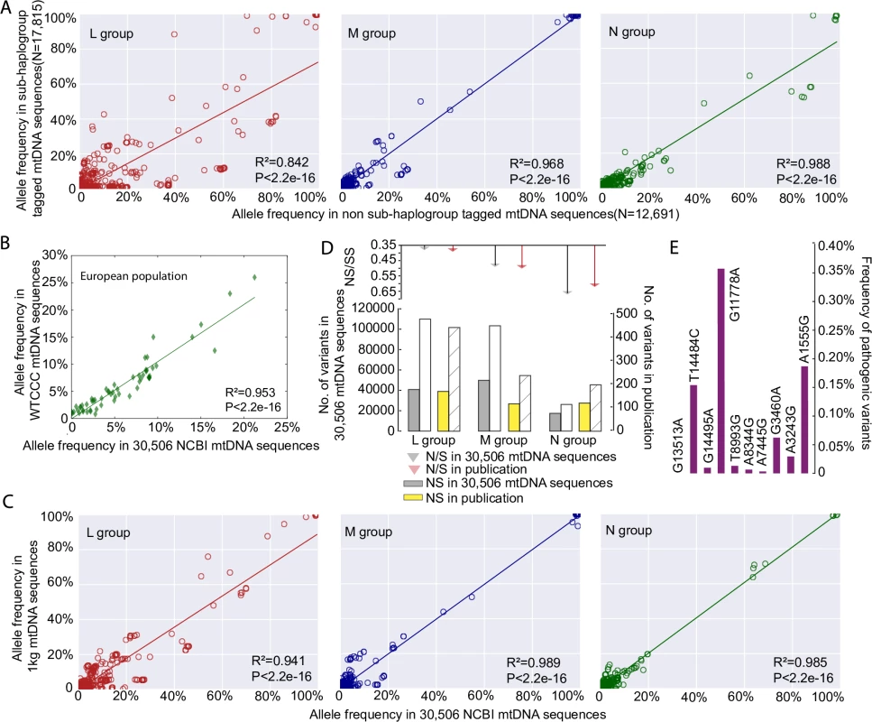 mtDNA sequence quality control.