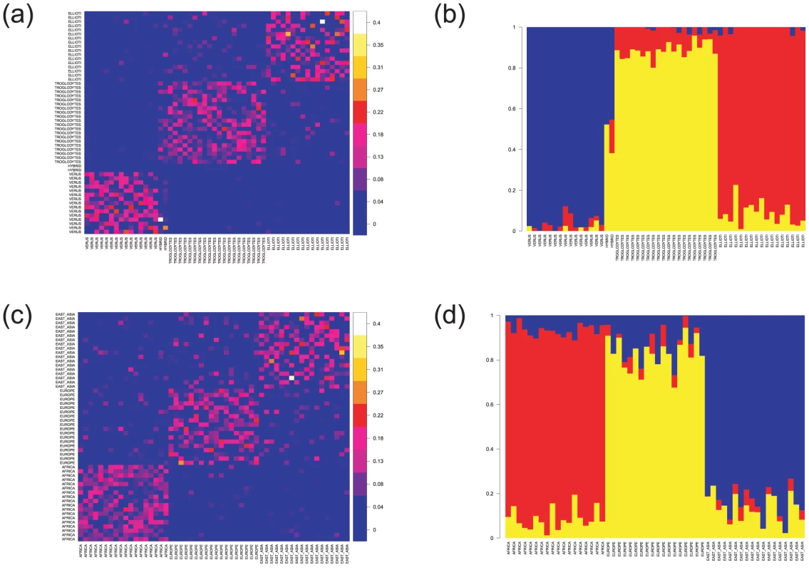 Haplotype-based analyses of population relationships.