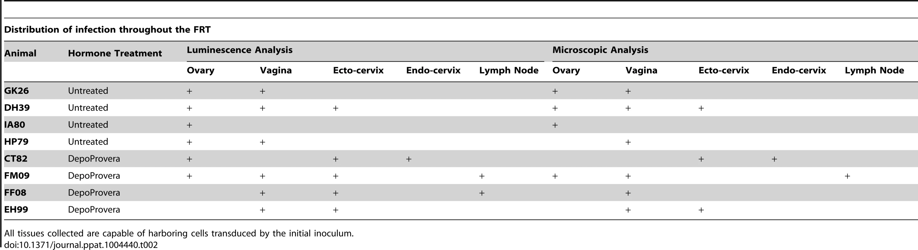 Localization of luciferase expression and microscopic confirmation of infection in 8 JRFL pseudotyped inoculated Rhesus Macaques.