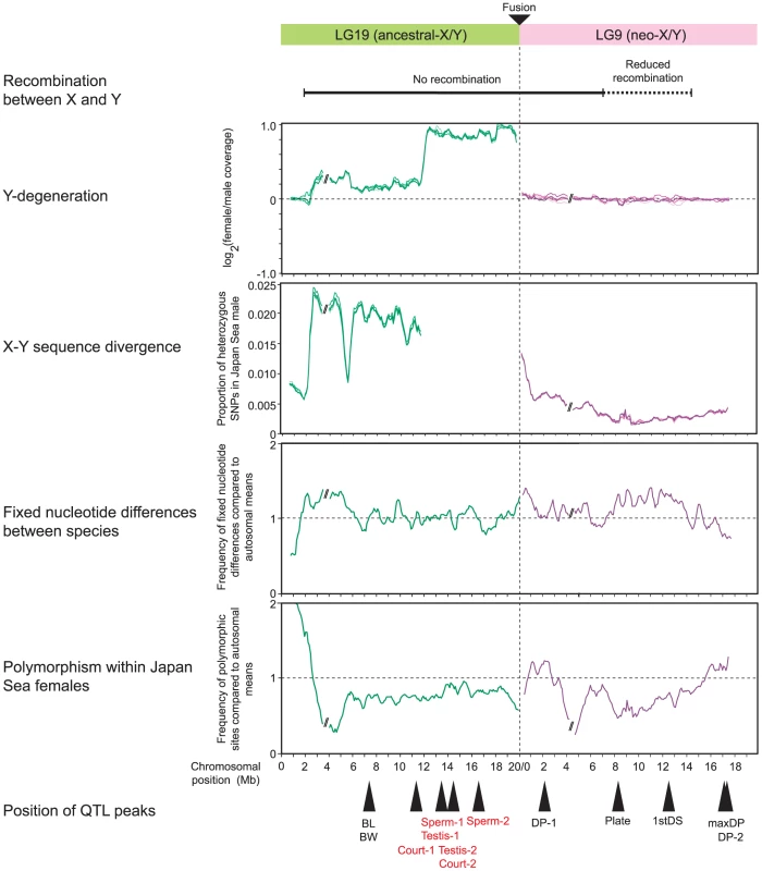 Summary of results of genomic analysis and QTL mapping for LG9 and LG19.