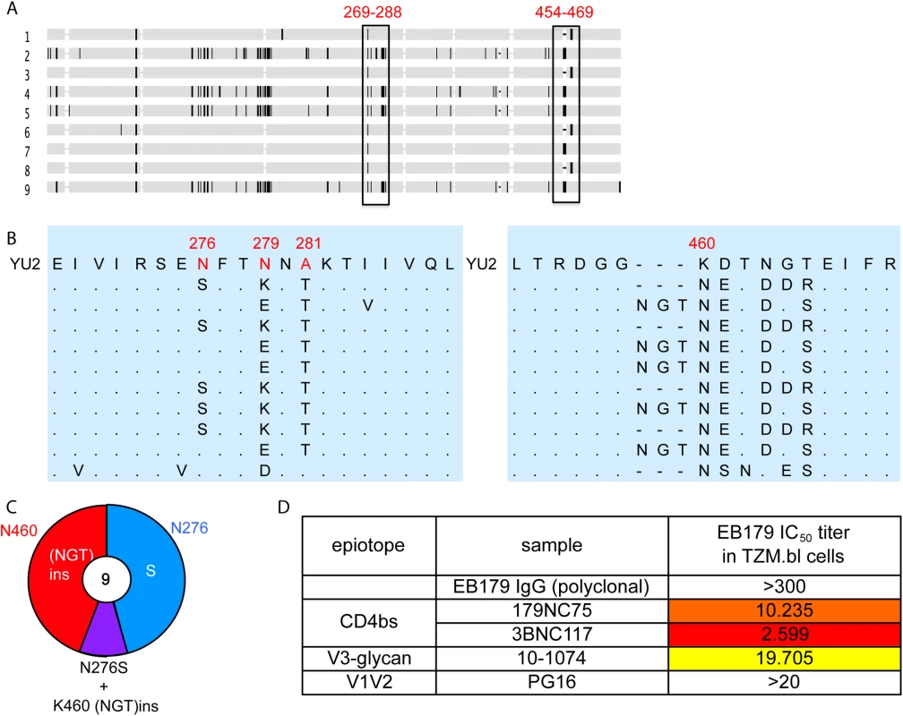 Autologous viruses from EB179.