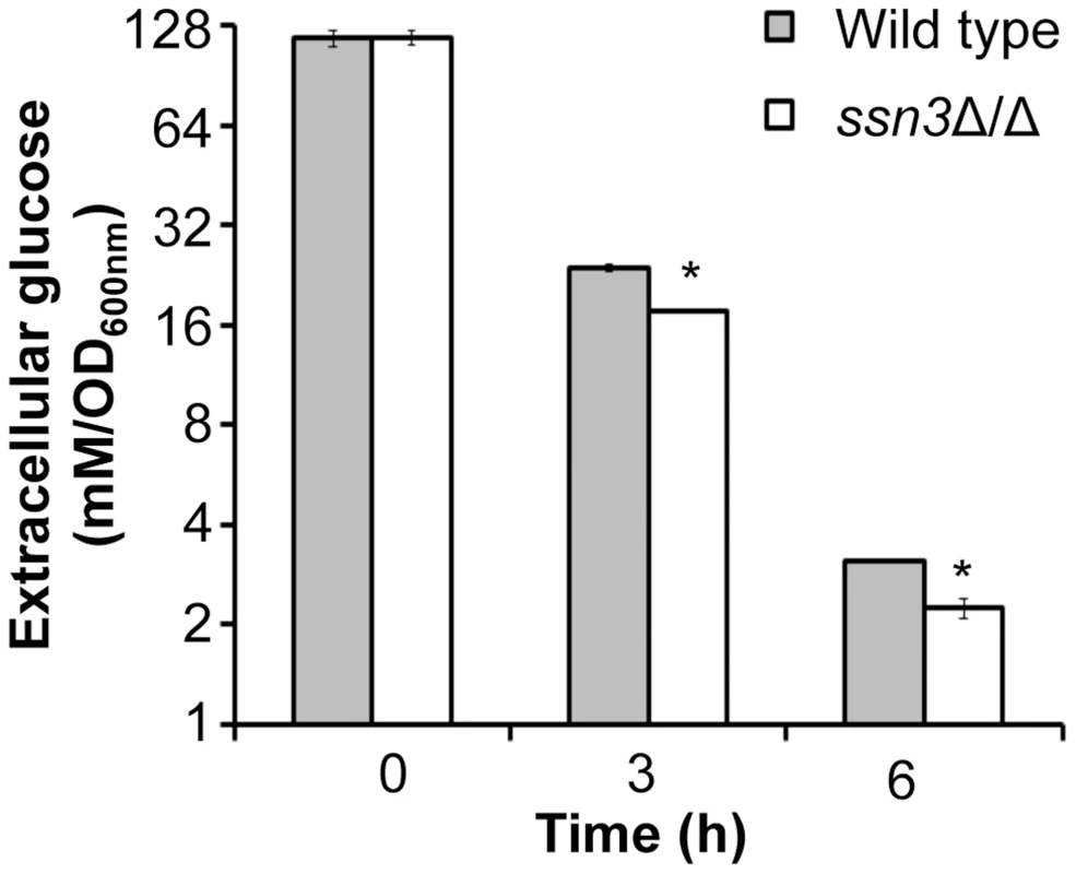 Absence of Ssn3 results in increased glucose transport.